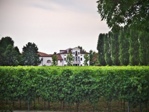 Casa Paladin: la sostenibilità delle quattro "V" della maison vinicola con le radici in quattro regioni