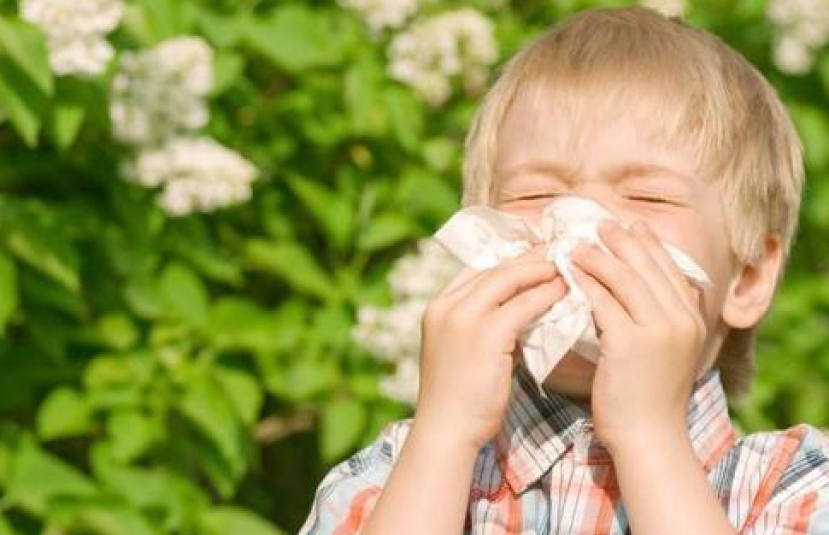Allergie pediatriche: a Roma si apre il World Allergy Organization
