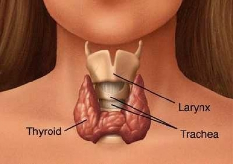 Prevenzione: tiroide è donna