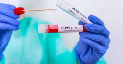Coronavirus: i verbali del Comitato scientifico da ora sul sito della Protezione civile. Oggi 1.733 positivi e 11 decessi