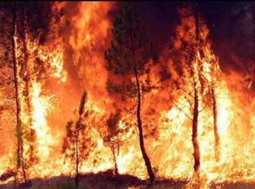 Effetto clima: l&#039;estate violenta tra le grandinate del nord e gli incendi del Centro e Sud Italia