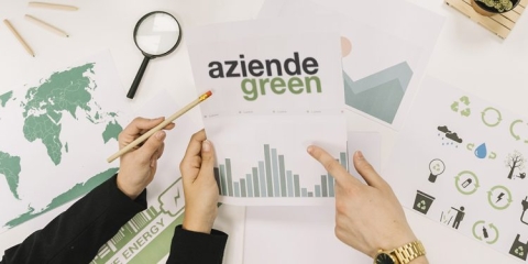 Sostenibilità, rapporto Federmanager: "Aumenta la domanda di professionisti nel settore green"