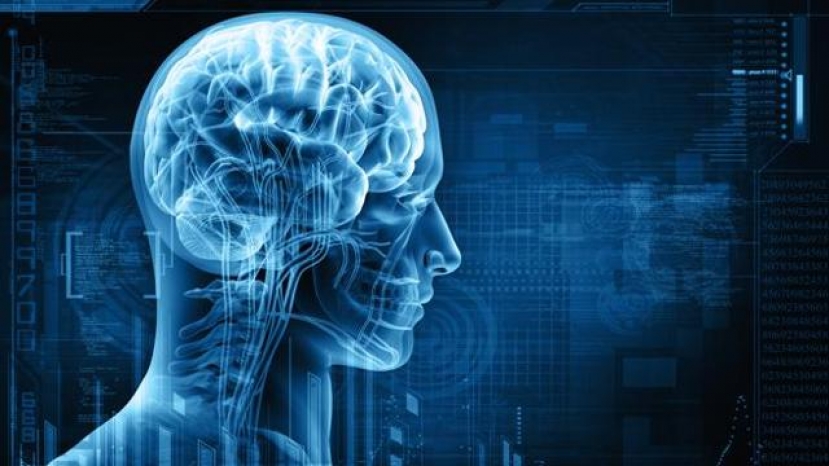 Patologie neurologiche: la ricerca sui &quot;trasmettitori&quot; delle cellule al X° Congresso di Taormina