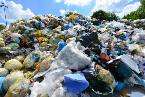 Giornata Mondiale dell'Ambiente: la Fise apre domani 5 giugno, i cancelli virtuali delle aziende del riciclo di rifiuti urbani
