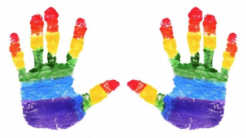 Omofobie: domenica 17 maggio si celebra la Giornata internazionale. Borrel: "L'Ue dovrà proteggere i loro diritti"
