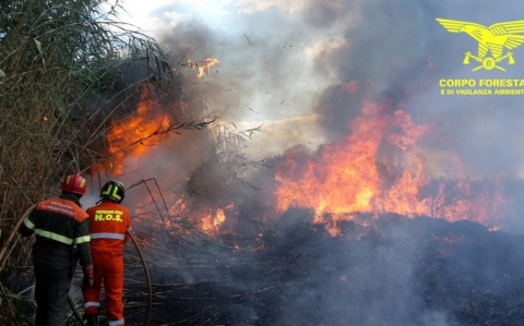 Incendi Sardegna: evacuate un centinaio di persone nell’oristanese. Allarme anche in Gallura e nuorese