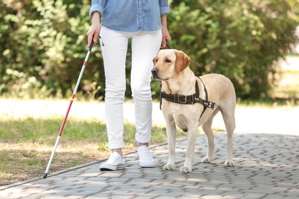 Fiera degli stili di vita consapevoli per ciechi ed ipovedenti: dal Braille ai cani guida a Fiera Milano