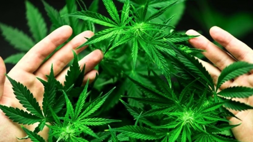 Marijuana: il governatore del New Jersey  legalizza l&#039;uso e depenalizza il possesso di hashishh