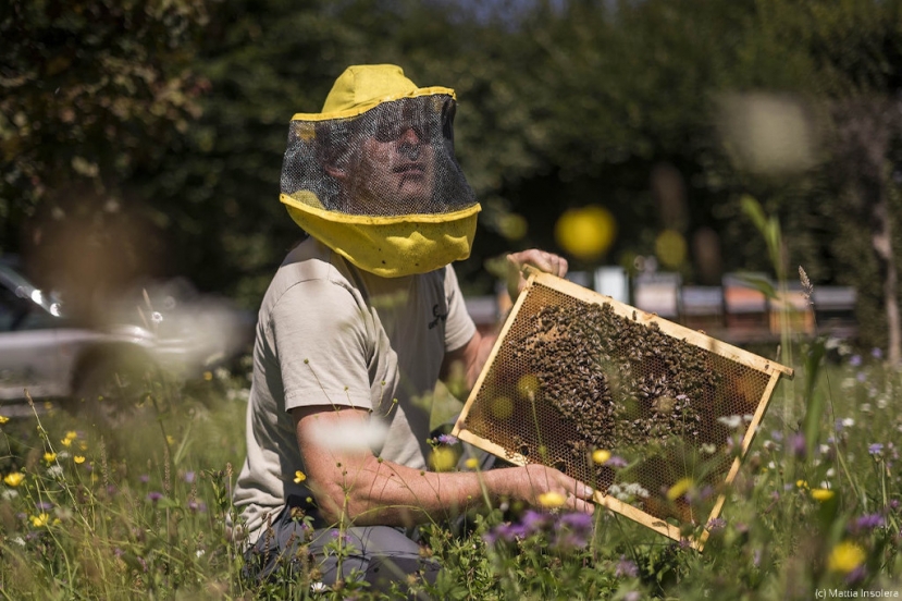 La Città del Miele premia l’apicoltore di Limana, Claudio Mioranza con il riconoscimento “Miele del Sindaco”