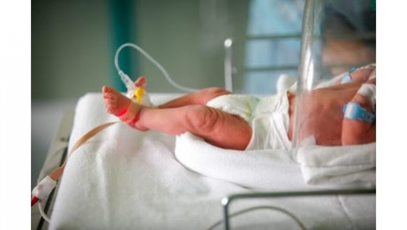 Verona: sospesi i medici dell&#039;Ospedale di Borgo Trento dove erano morti 4 neonati per un batterio