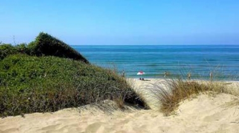 Roma: approvato un progetto di riqualificazione delle Dune di Capocotta, la spiaggia della Riserva Naturale del litorale romano