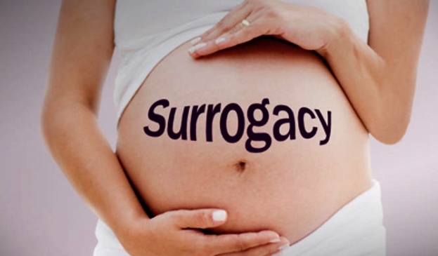 Maternità surrogata: Italia condannata da Strasburgo per un mancato riconoscimento di una bimba ucraina