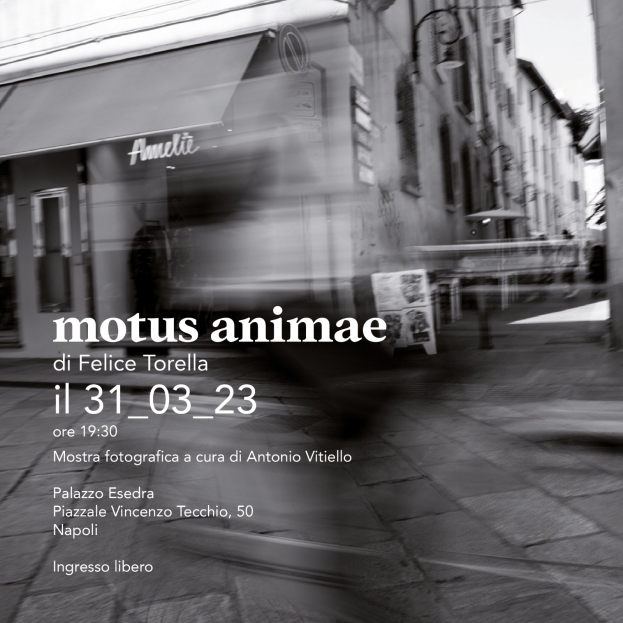 Mostre: da domani 31 marzo la personale di Felice Torella “Motus Animae” a Palazzo Esedra a Napoli