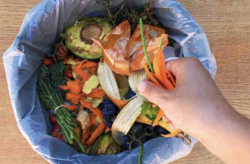 10ª Giornata contro lo spreco alimentare: in pattumiera finiscono 75 grammi di cibo al giorno
