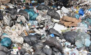 Rifiuti illeciti: 12 arresti del Noe in Campania. Smaltiti rifiuti speciali in discarica pubblica in cambio di mazzette