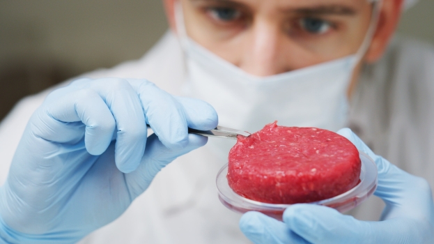 Carne coltivata: Matterella firma il decreto di divieto di produzione e di immissione sul mercato