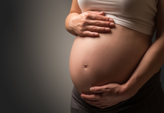 Legge gravidanza solidale (gpa), Castellone: “Parliamo di vite donate fuori dagli slogan”