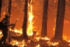 USA: i parchi della Sierra Nevada divorati dalle fiamme. Bruciati 180 mila ettari di bosco