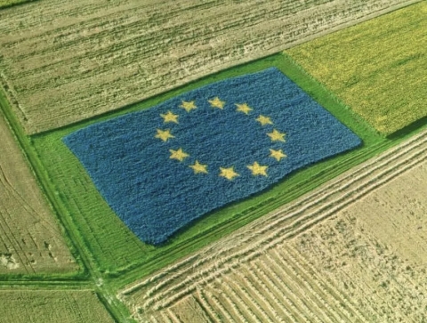 Agricoltura: oggi a Bruxelles il Consiglio dei Ministri UE per la semplificazione del Pac. In piazza le associazioni di categoria europee