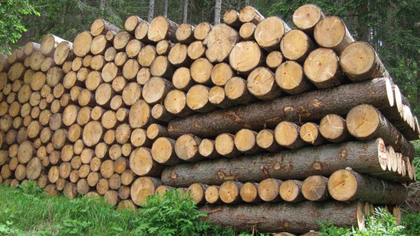 UE e Honduras siglano accordo per la tracciabilità del legno importato in Europa
