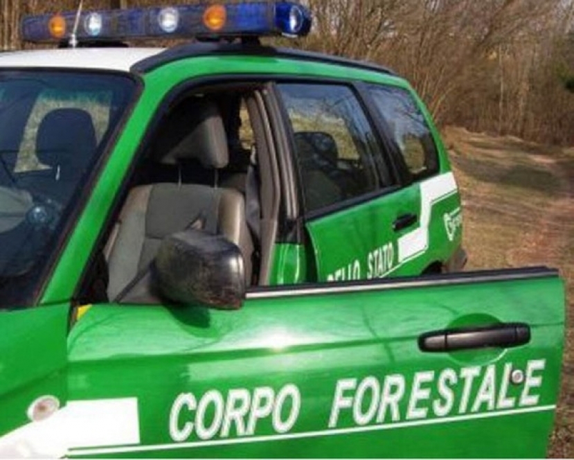 Ambiente: siglato accordo carabinieri e gruppi ricerca ecologica