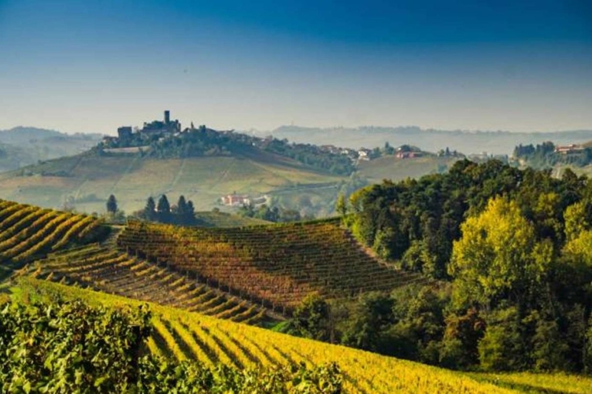 Enologia: Il Consorzio Barbera D’Asti e Vini del Monferrato con Ageba per la ricerca su vitigni antichi meteo-resistenti