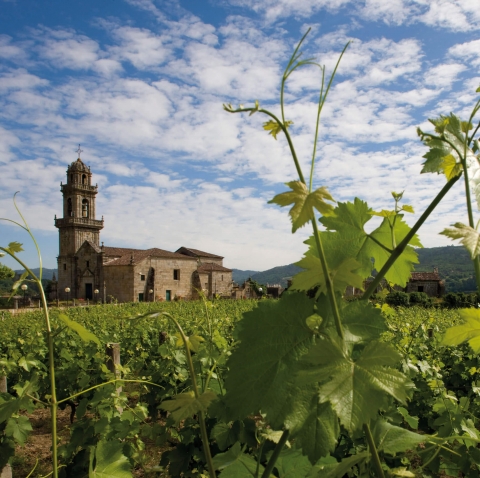 Spagna: le destinazioni delle strade del vino per la spillatura del nuevo vino nei Paesi Baschi e in Galizia