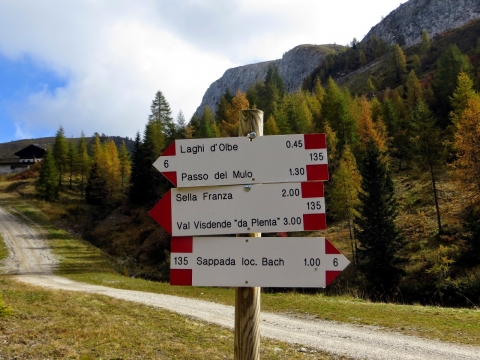 Friuli Venezia Giulia: trekking attraverso i sentieri sappadini alla scoperta di malghe sino al confine austriaco