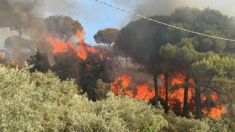Palermo: salgono a tre le vittime dell’incendio alle porte di Cinisi. Sono due anziani di Fondo Orsa