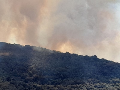 Elba: gli incendi radono al suolo 14 ettari. Evacuate circa 700 persone sulla collina di Ortano