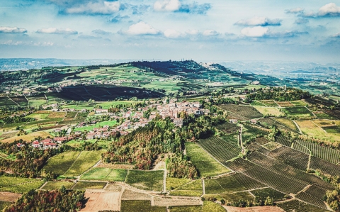 Un webinar dell'associazione vinicola Nas-Cëtta celebra i 10 anni della produzione di Novello