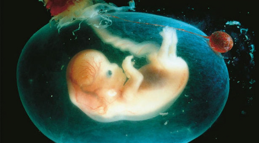 Sterilità femminile: arriva in aiuto l&#039;Intelligenza Artificiale per la selezione degli embrioni