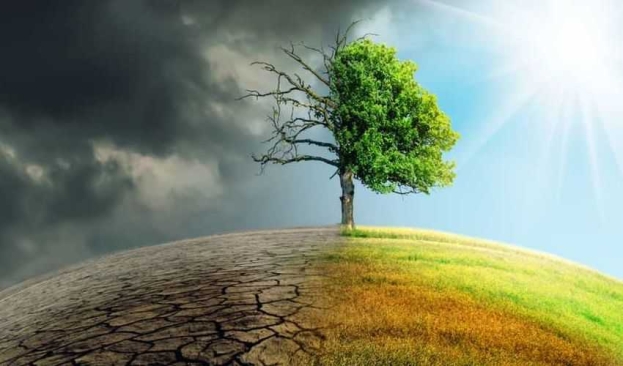 Ispra: pubblicato l’Annuario dei dati ambientali 2022 con riferimenti dall’agricoltura ai rifiuti