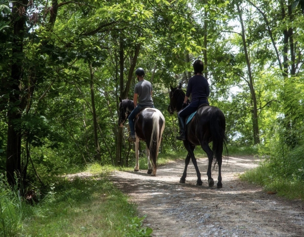 Turismo ambientale: alla scoperta dei parchi italiani in sella con l’iniziativa di Federparchi e Natura a cavallo