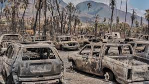 Incendi Hawaii: 67 vittime accertate. 60 italiani dispersi. La Procura apre un’indagine sulla gestione dei roghi