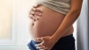 Legge gravidanza solidale e altruistica: domani una tavola rotonda con Castellone e Migliorino (M5S)