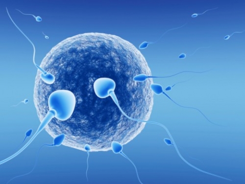 Infertilità maschile: ricerca IVI-Ixè ancora tabù tra gli uomini per rivolgersi al medico