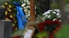 Russia: i funerali privati di Prigozhin. L'omaggio degli uomini di Wagner nel cimitero di Porokhovskoe