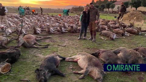 Portogallo: mattanza di 540 cervi in una riserva di caccia. Responsabili cacciatori spagnoli