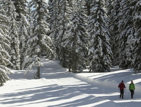 Austria Turismo presenta a Milano il suo spirito outdoor per la prossima stagione invernale