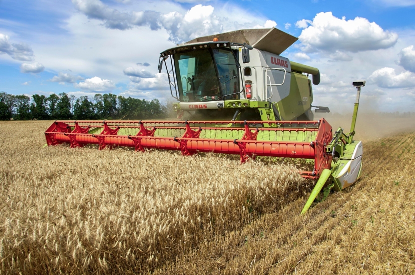 Export grano ucraino è minimo storico: da 4 mln tonnellate a 2,4 nel mese di ottobre