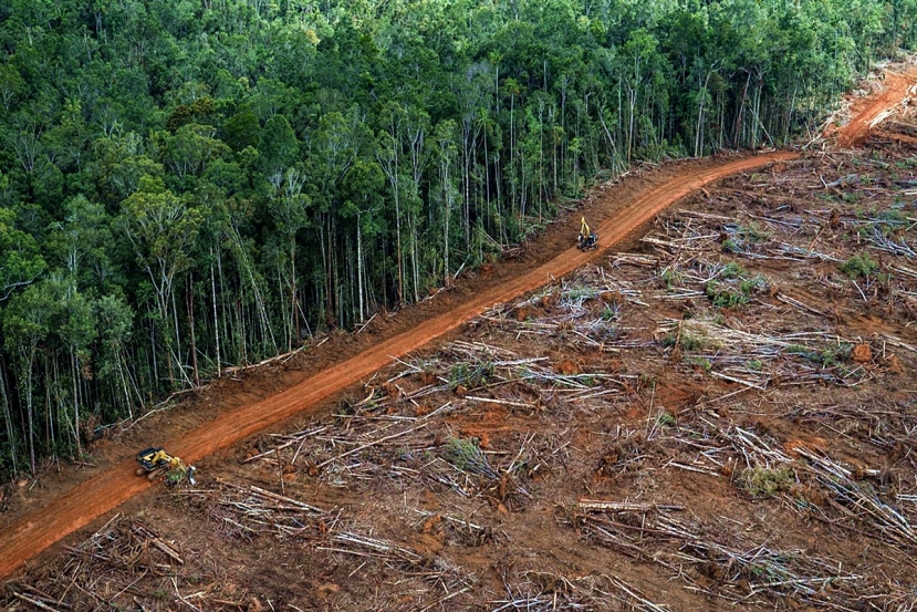 Deforestazione amazzonica: l’impegno di Cop26 per 16,5 mld di euro che fa sorridere Bolsonaro
