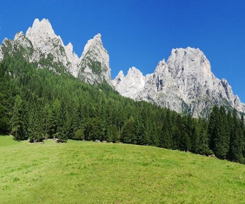 Trentino: a piedi nudi nella Val Canali per ritrovare il contatto con gli elementi naturali