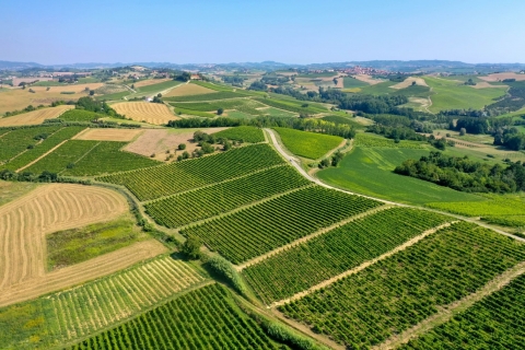 Nasce la rete di promozione del Ruchè di Castagnole Monferrato DOCG per il turismo enogastronomico