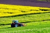 Agroalimentare, Coldiretti rilancia l'allarme della Dia sulle infiltrazioni criminali nelle aziende piegate dalla crisi
