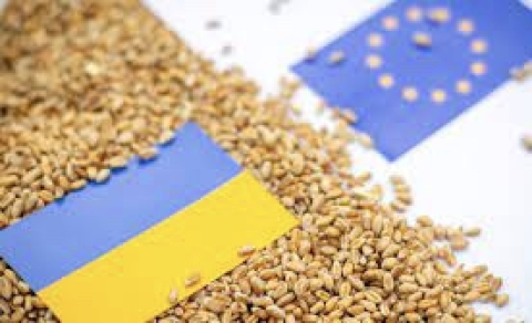 Importazioni prodotti agricoli ucraini in Ue: esenzione dazi doganali ma con una lista di salvaguardia
