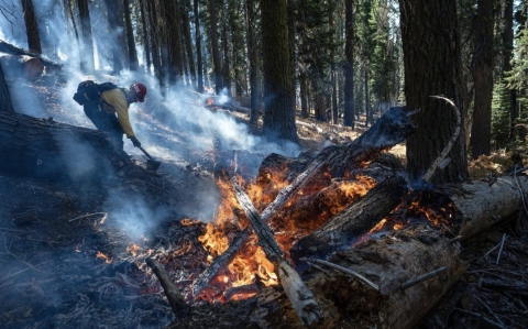 California: in fiamme alberi secolari nel parco del Golden State. Bruciato anche il General Sherman