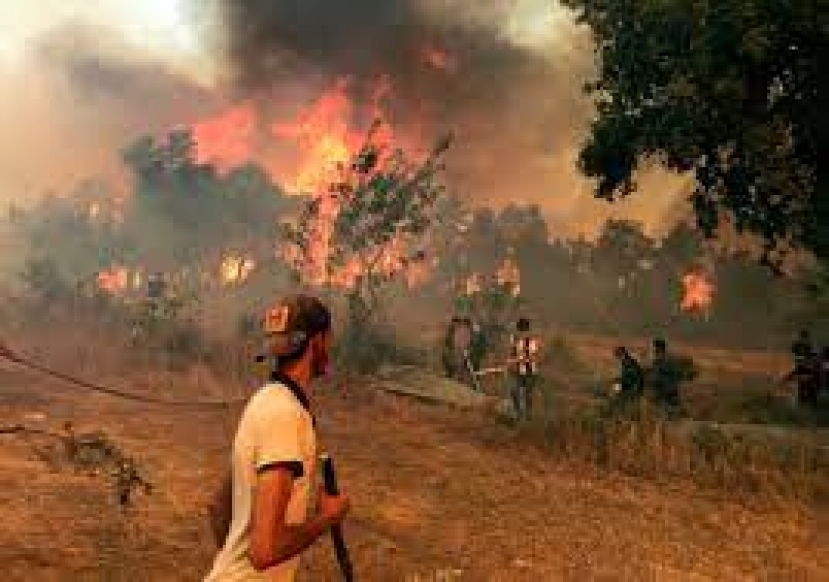 Incendi Algeria: la provincia di Cabilia assediata dalle fiamme. Beldjoud (Interni): “Dolosi, mani criminali”