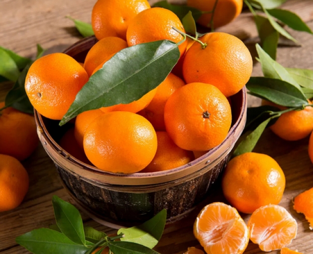 Agricoltura: Clementine, dalle proprietà nutrizionali alle ricette che non ti aspetti