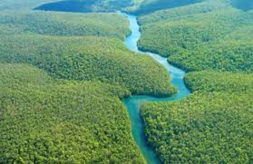 Amazzonia, il Brasile chiede finanziamenti per proteggere il “polmone verde” del mondo in vista di Cop26